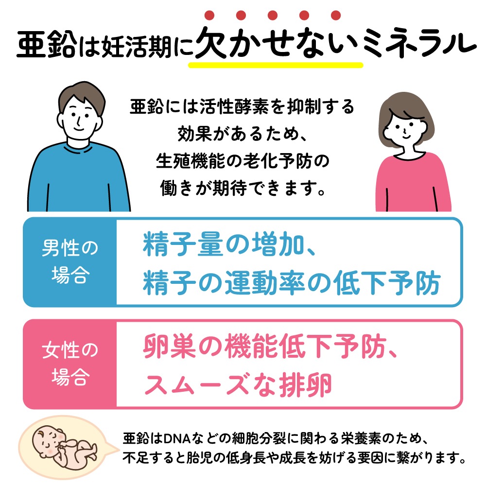 ［8(土)〜16(日)夏季休業★10日以降の注文は17日から順次発送］夏の妊活応援SALE★お得な46%OFF【産婦人科医開発】エンゼルストーク亜鉛 30包×3箱セット（3カ月）※アルギニン・亜鉛入り、葉酸サプリ併用可能 アルギニン 亜鉛 安全臨床試験済 送料無料