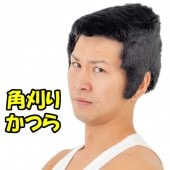 角刈りかつら パーティーかつら【ゲーム_パーティー_コスプレ_変装_仮装_かつら_ハロウィン】