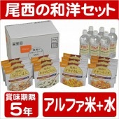 非常食 セット 5年保存 尾西食品 アルファ米 保存食 ごはん 山メシ 尾西食品の和洋メニュー お水セット|緊急避難・防災セット・非常食|生活雑貨