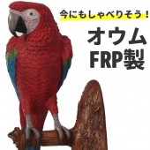 オウム インテリア 鳥 オブジェ 置物 グッズ オーナメント ディスプレー 壁掛け用 代金引換不可 ディスプレイ FRP制 赤 青 リアル 実物大 レッド&ブルー