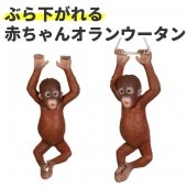 ぶら下がれる オラウータン 赤ちゃん オランウータン オブジェ 置物 グッズ オーナメント ディスプレー 代金引換不可 ディスプレイ FRP制 リアル 実物大