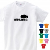 ナポレオンフィッシュ tシャツ グッズ おもしろ 雑貨 オリジナル メンズ レディース S M L XL 3L 4L プリント 服 可愛い おしゃれ かわいい 海
