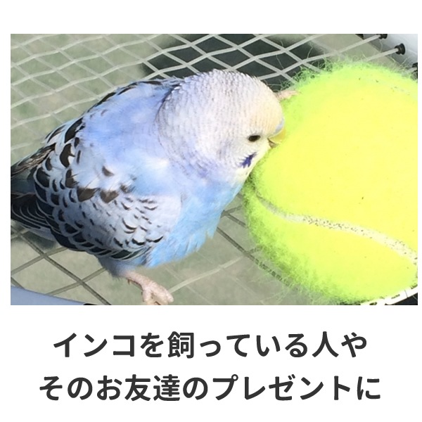 インコ Tシャツ グッズ 雑貨 おもしろ インコグッズ オリジナル メンズ レディース S M L Xl 3l 4l プリント 服 面白い 可愛い おしゃれ かわいい 鳥 動物 植物 生き物 Tシャツ お祭りコム インコ Tシャツ グッズ 雑貨 おもしろ インコグッズ オリジナル メンズ レディース S M L Xl 3l 4l プリント 服 面白い 可愛い おしゃれ かわいい 鳥 動物 植物 生き物 Tシャツ お祭りコム