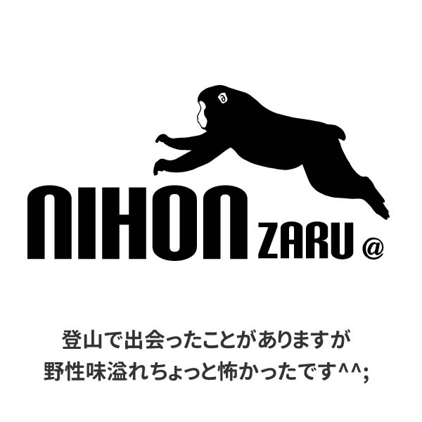 猿 グッズ Tシャツ サル ニホンザル おもしろ 雑貨 オリジナル メンズ レディース S M L Xl 3l 4l プリント かっこいい 面白い 可愛い おしゃれ かわいい 動物 植物 生き物 Tシャツ お祭りコム