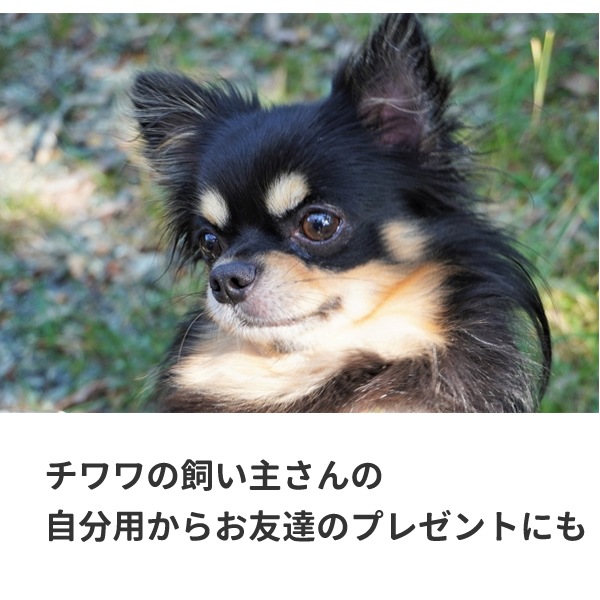 チワワ グッズ Tシャツ 毛長 雑貨 服 おもしろ オリジナル メンズ レディース S M L Xl 3l 4l プリント 犬 面白い 可愛い おしゃれ かわいい ギフト 動物 植物 生き物 Tシャツ お祭りコム