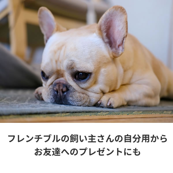 フレンチブルドッグ グッズ Tシャツ 服 雑貨 オリジナル メンズ レディース S M L Xl 3l 4l プリント 犬 面白い 可愛い おしゃれ かわいい 動物 植物 生き物 Tシャツ お祭りコム フレンチブルドッグ グッズ Tシャツ 服 雑貨 オリジナル メンズ レディース S M L Xl 3l 4l プリント 犬 面白い 可愛い おしゃれ かわいい 動物 植物 生き物 Tシャツ お祭りコム