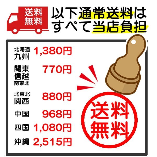 昆虫 Tシャツ セミの抜け殻 グッズ おもしろ Tシャツ 雑貨 オリジナル メンズ レディース S M L Xl 3l 4l 男性 女性 カラー 可愛い おしゃれ 面白い シュール 動物 植物 生き物 Tシャツ お祭りコム