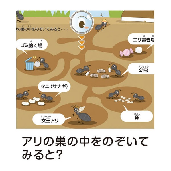 自由研究 キット 小学生 アリさんまるごと観察セット 自由研究 夏休み 工作 自由工作 理科 実験 観察 キッズ 知育 教材 自由研究 実験器具 中学年向け 科学教材 実験 夏休みの自由研究グッズ お祭りコム