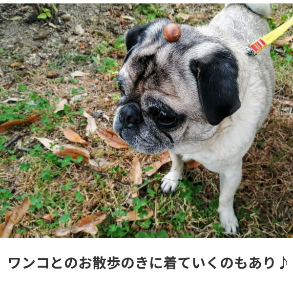 パグ グッズ Tシャツ パグ犬 ワンポイント おもしろ 雑貨 犬 オリジナル 犬柄 メンズ レディース プリント 服 可愛い おしゃれ 面白い 動物 植物 生き物 Tシャツ お祭りコム