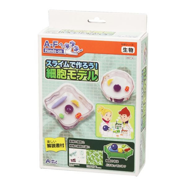 自由研究 キット 小学生 スライムで作ろう 細胞モデル 自由研究 夏休み 工作 自由工作 理科 実験 観察 キッズ 知育 教材 自由研究 実験器具 高学年向け 科学教材 実験 夏休みの自由研究グッズ お祭りコム 自由研究 キット 小学生 スライムで作ろう 細胞モデル 自由研究 夏休み 工作 自由工作 理科 実験 観察 キッズ 知育 教材 自由研究 実験器具 高学年向け 科学教材 実験 夏休みの自由研究グッズ お祭りコム