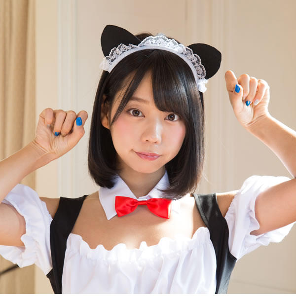 メイド服 可愛い オフショル セクシー メイド コスプレ オフショルダー 半袖 黒 ミニ 猫耳 エロ 猫ミミ コスチューム 仮装 ハロウィン 衣装 キティメイド メイド服 お祭りコム