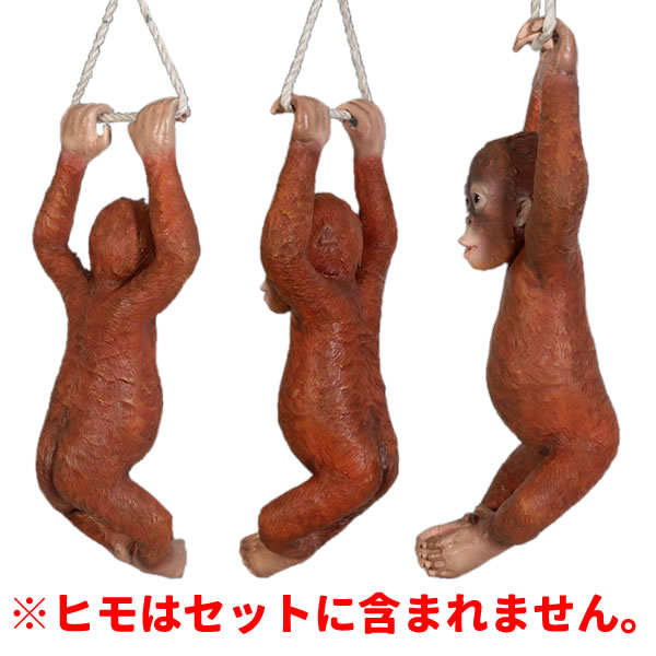 モールアート オランウータン Www Vetrepro Fr モールアート オランウータン Www Vetrepro Fr