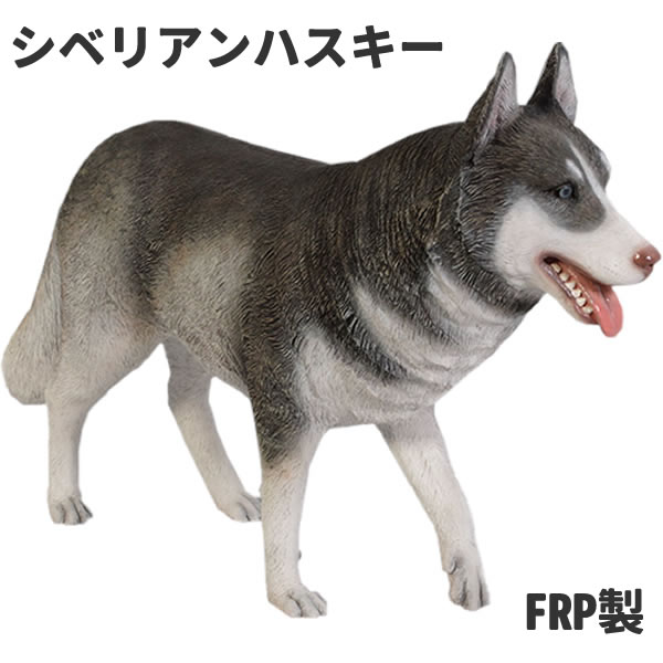 ハスキー 犬 置物 いぬ オブジェ イヌ オーナメント ハスキー犬 ディスプレー 代金引換不可 ディスプレイ Frp制 リアル 実物大 Frp製 動物 リアルオブジェ お祭りコム ハスキー 犬 置物 いぬ オブジェ イヌ オーナメント ハスキー犬 ディスプレー 代金引換不可 ディスプレイ Frp制 リアル 実物大 Frp製 動物 リアルオブジェ お祭りコム