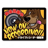 ALinks �ɥ饤�֥쥳������ ���ƥå��� ���å���