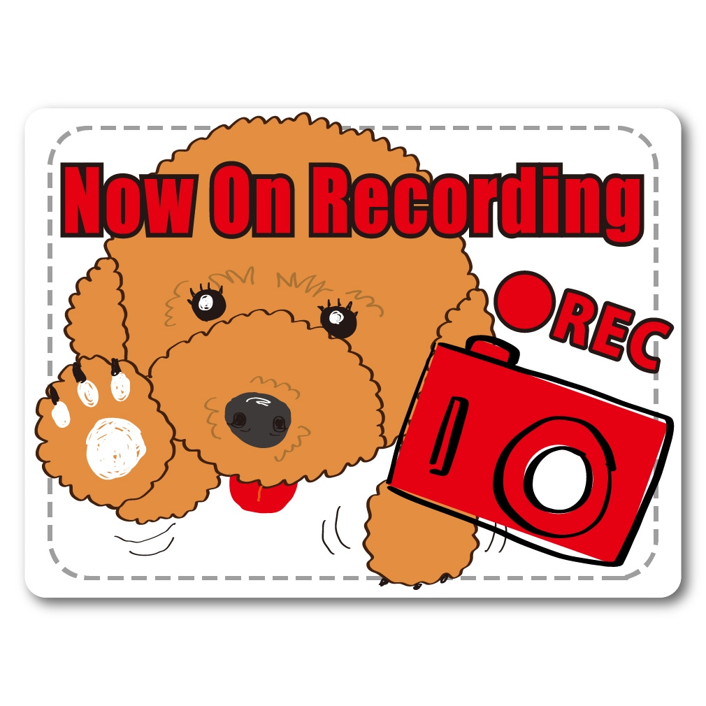 ALinks �ɥ饤�֥쥳������ ���ƥå��� �ȥ��ס��ɥ�