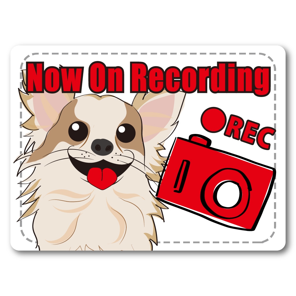 ALinks �ɥ饤�֥쥳������ ���ƥå��� �����