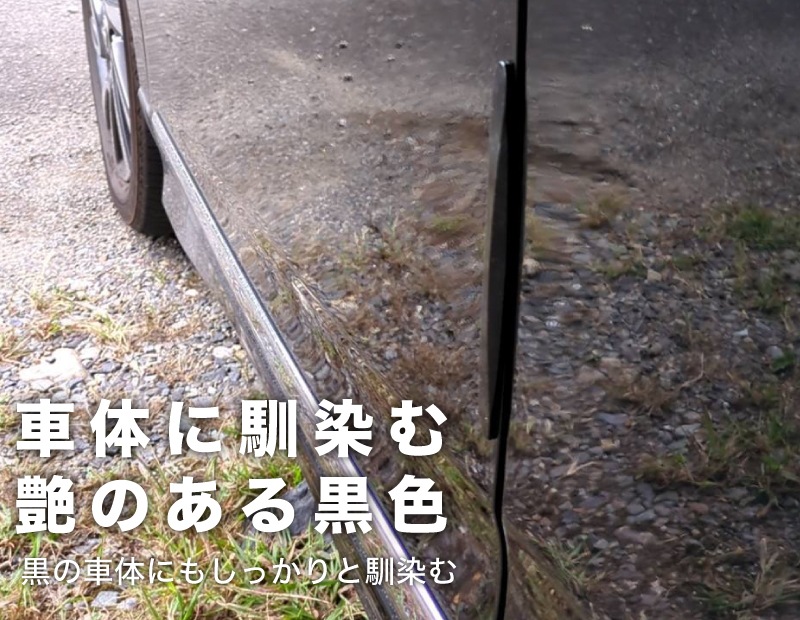  ɥ ɥѥɻ å Ž ñ ֥å  ʤ 餫 ɿ ֵб ƥå 