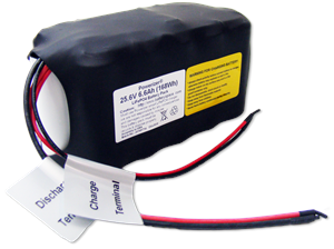 25.6֡6.6Ah (168 Wh) Li-Feѥå16A