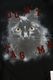 ��26AW��Maison MIHARA YASUHIRO �᥾�� �ߥϥ�䥹�ҥ� Cat Printed Sweatshirt �֥�å� J17PO782