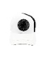 MARK&LONA �ޡ�������ɥ��� Circled SKL Cap | MEN and WOMEN ����å� �ۥ磻�� MLF-4C-FC03