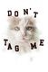 ��26AW��Maison MIHARA YASUHIRO �᥾�� �ߥϥ�䥹�ҥ� Cat Printed T-shirt �ۥ磻�� J17TS823