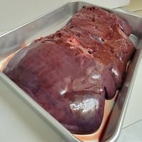 µСܸ塡¢ľ̡5kg轵˽в١1ñ2200