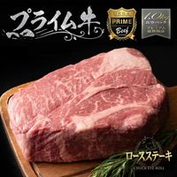 US���ǹ��ʼ��ץ饤�॰�졼�ɡ����������ơ�����  ��1kg���塡�����ޤ��� ��¢ľ�� ���þ� ���ơ��� �ץ饤�ࡡ����������