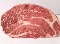 �ץ饤�ॢ�󥬥�������å�����������ڸ��������ۡ���¢1�ѥå� ��1kgñ��3100��