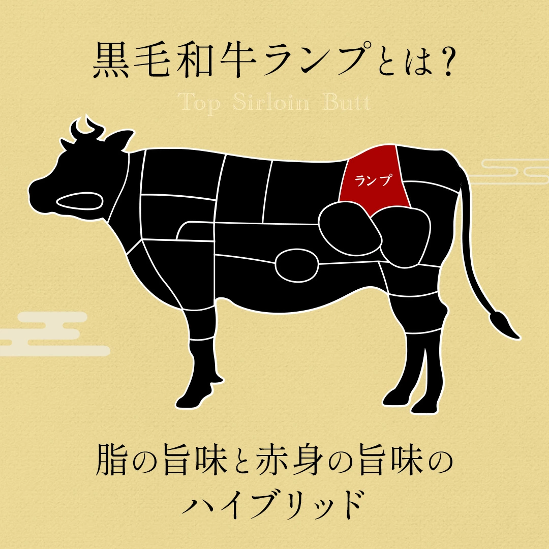 �񻺹����µ�A5A4���顡�þ��ֿȥ��ץ֥��å���������̡���500g ����ࡡ��®���࿿���ѥå�