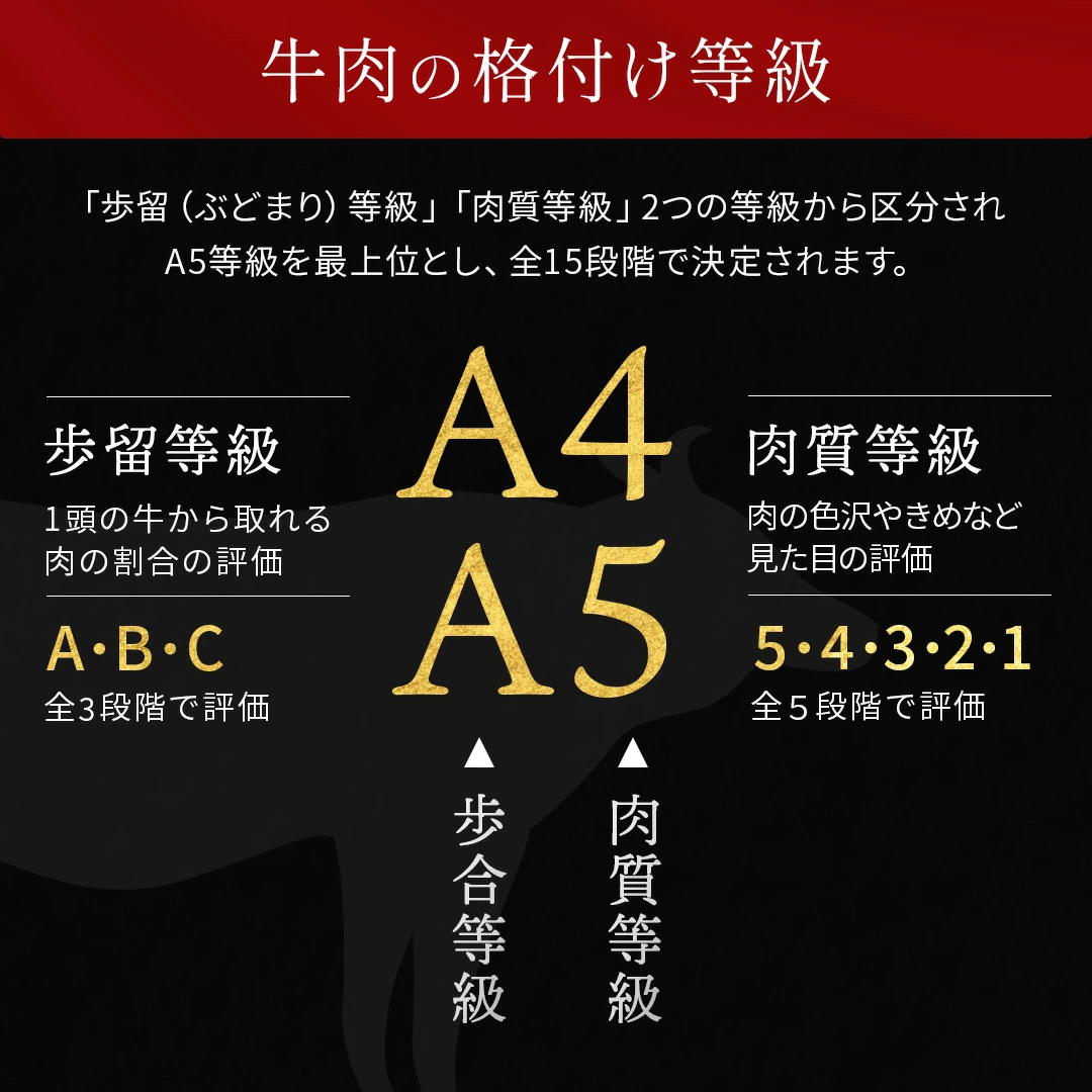 �񻺹����µ�A5A4���顡�þ��ֿȥ��ץ֥��å���������̡���500g ����ࡡ��®���࿿���ѥå�