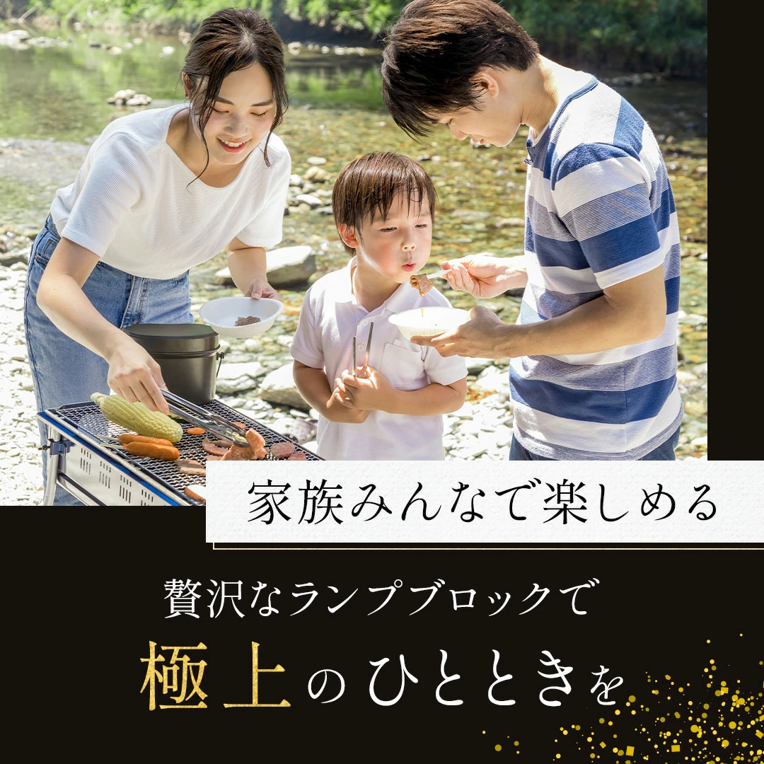 �񻺹����µ�A5A4���顡�þ��ֿȥ��ץ֥��å���������̡���500g ����ࡡ��®���࿿���ѥå�