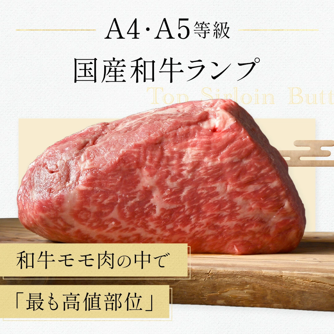 �񻺹����µ�A5A4���顡�þ��ֿȥ��ץ֥��å���������̡���500g ����ࡡ��®���࿿���ѥå�