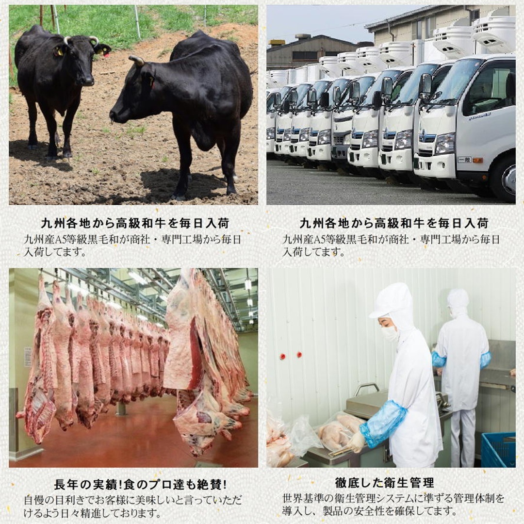 �彣�������µ���£���ѡ����եȡ��ڤ���Ȥ���A5A4���顡500g����x1�ġ���