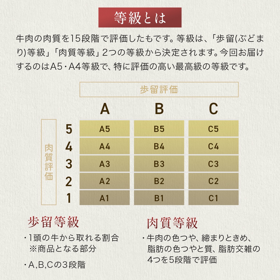 �彣�������µ���£���ѡ����եȡ��ڤ���Ȥ���A5A4���顡500g����x1�ġ���