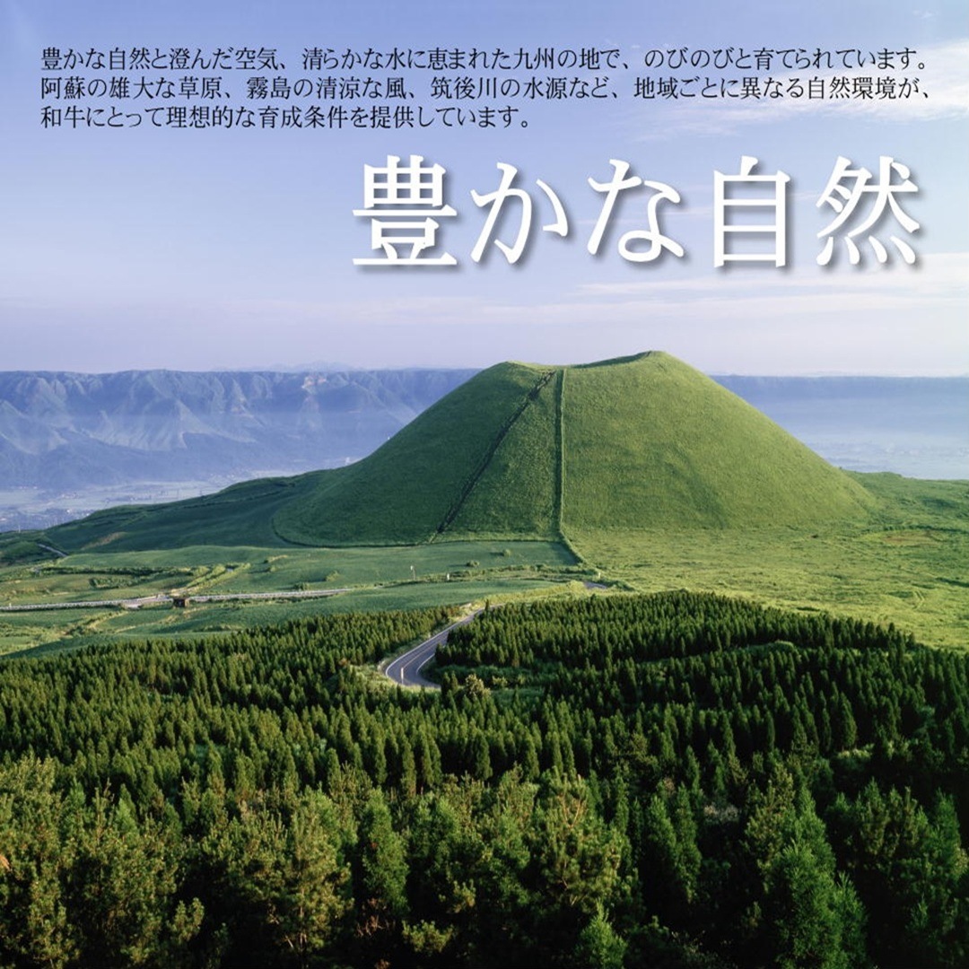 �彣�������µ���£���ѡ����եȡ��ڤ���Ȥ���A5A4���顡500g����x1�ġ���