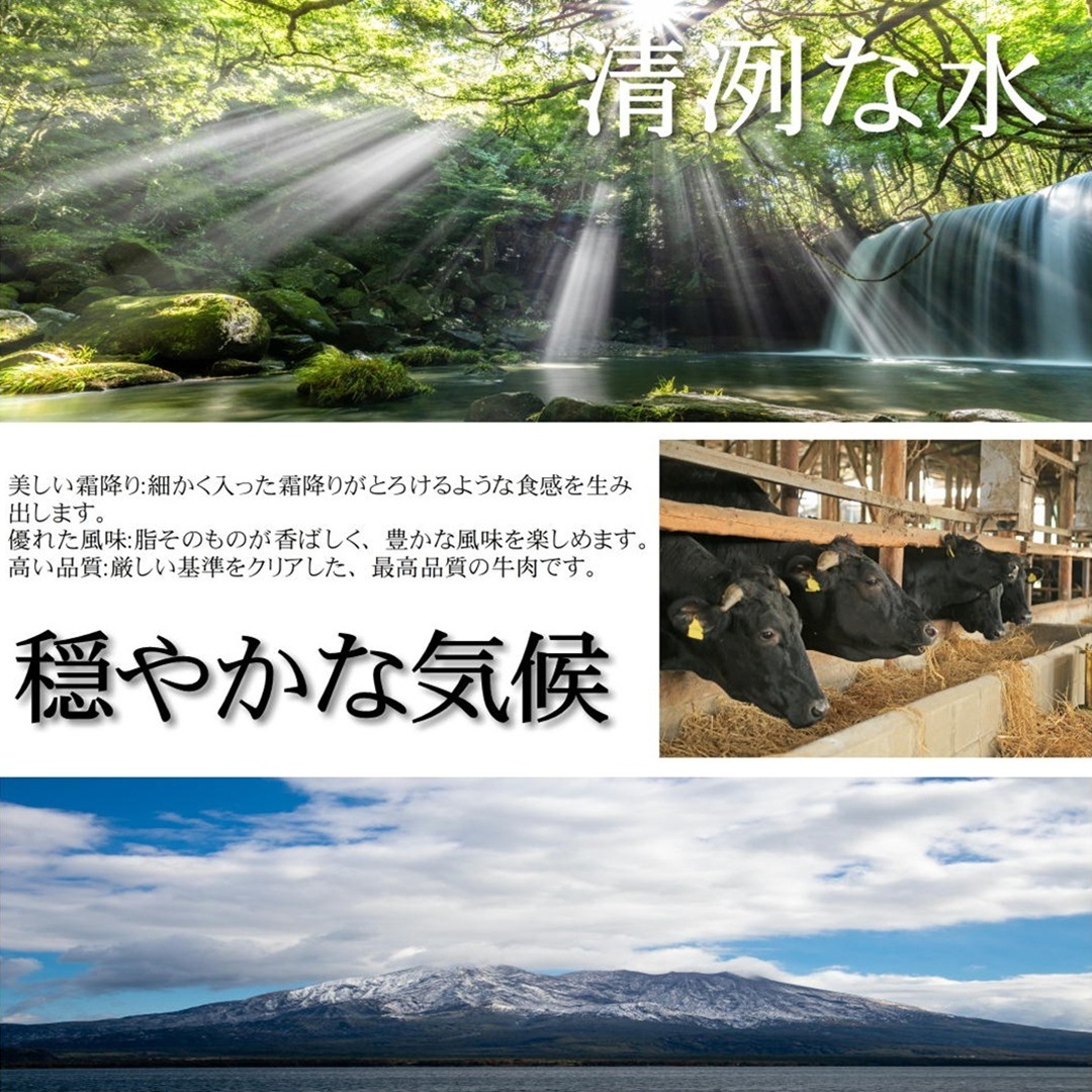 �彣�������µ���£���ѡ����եȡ��ڤ���Ȥ���A5A4���顡500g����x1�ġ���