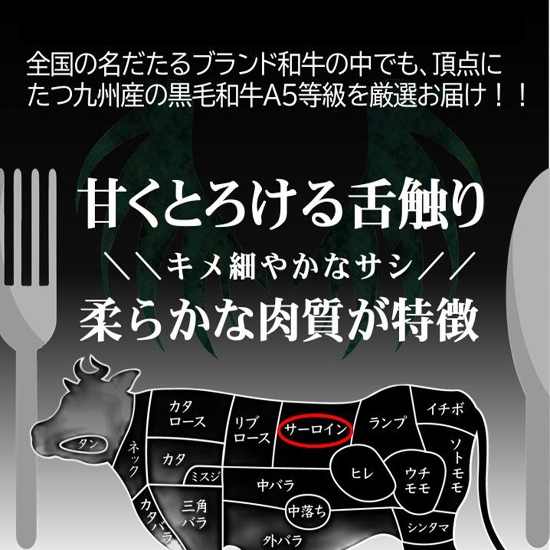 �ʰ� A5���� �彣���֥��ɹ����µ�����������֥��å� �̤����  ���������1.0kg������ �֥��å�������