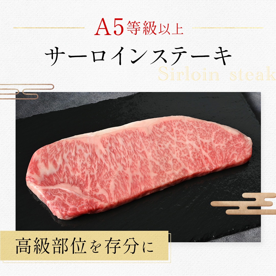 ���������󥹥ơ�����������̡���0���硡�彣�������µ�A5�������󥯿����� 