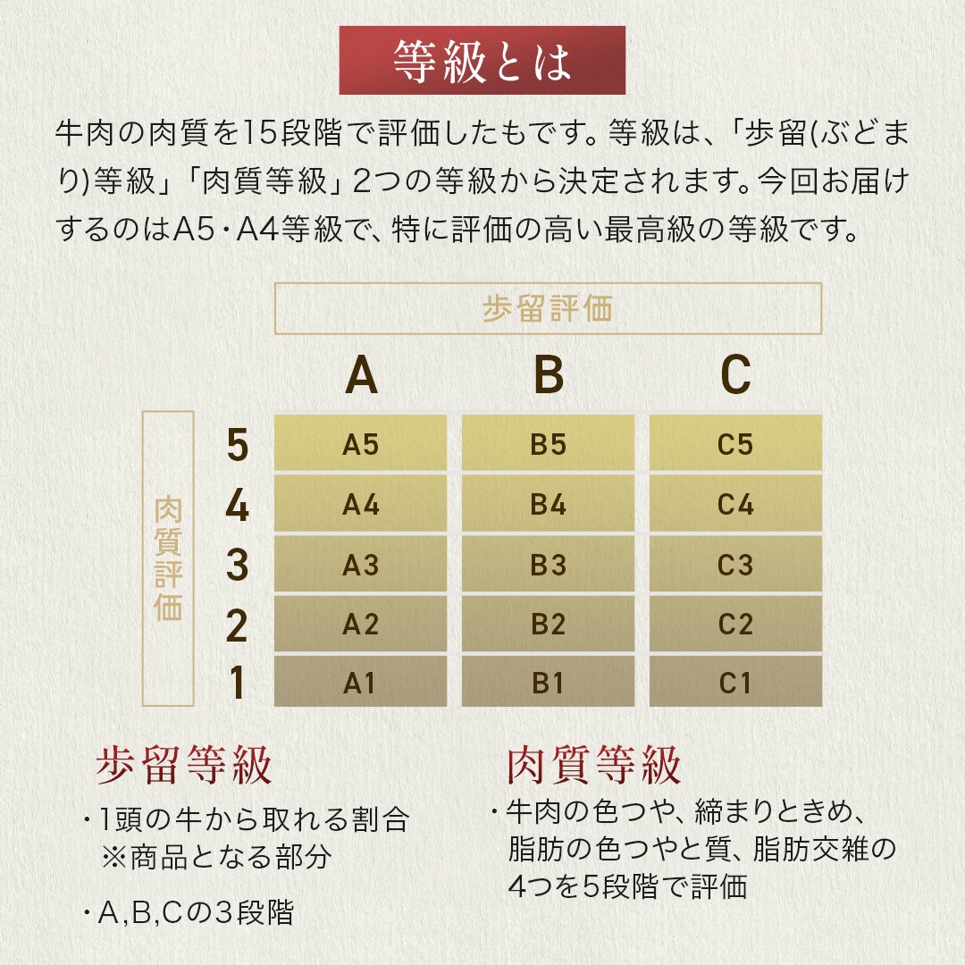 �����µ����������������饤����A5A4���顡400g����x1�ġ������ѥå�