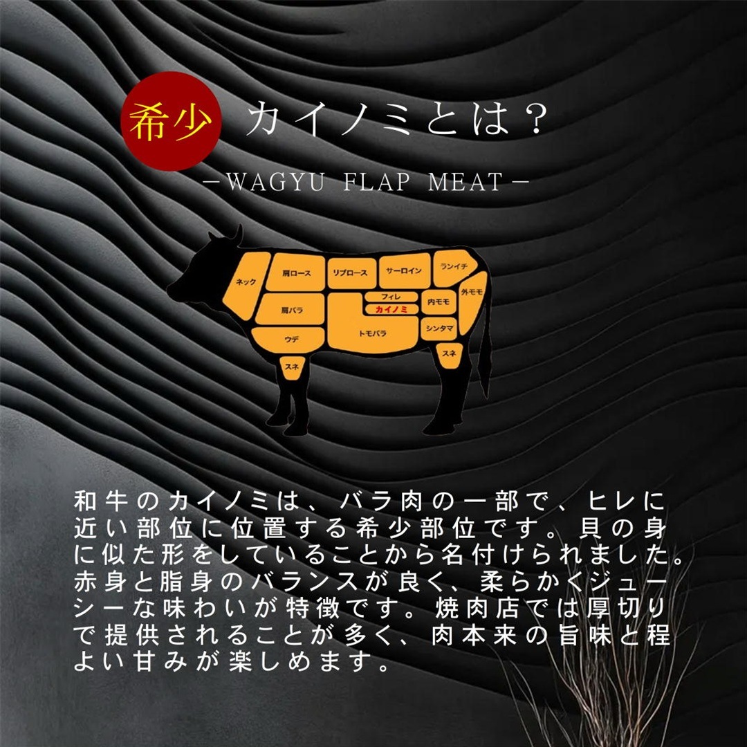 �彣�������µ������Υߡ�A5A4���顡Ķ�����Х����̡�����̳�ѵ�®�������ࡡ���������600��