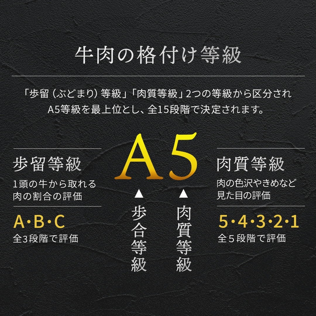 �彣�������µ������Υߡ�A5A4���顡Ķ�����Х����̡�����̳�ѵ�®�������ࡡ���������600��