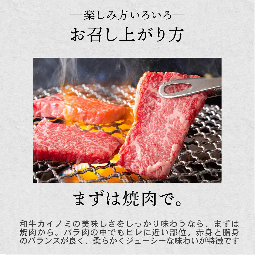 �彣�������µ������Υߡ�A5A4���顡Ķ�����Х����̡�����̳�ѵ�®�������ࡡ���������600��