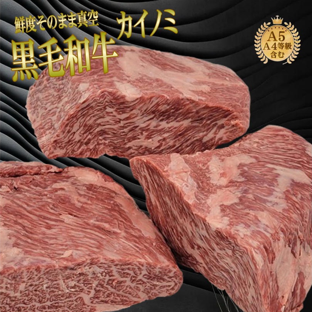 �彣�������µ������Υߡ�A5A4���顡Ķ�����Х����̡�����̳�ѵ�®�������ࡡ���������600��