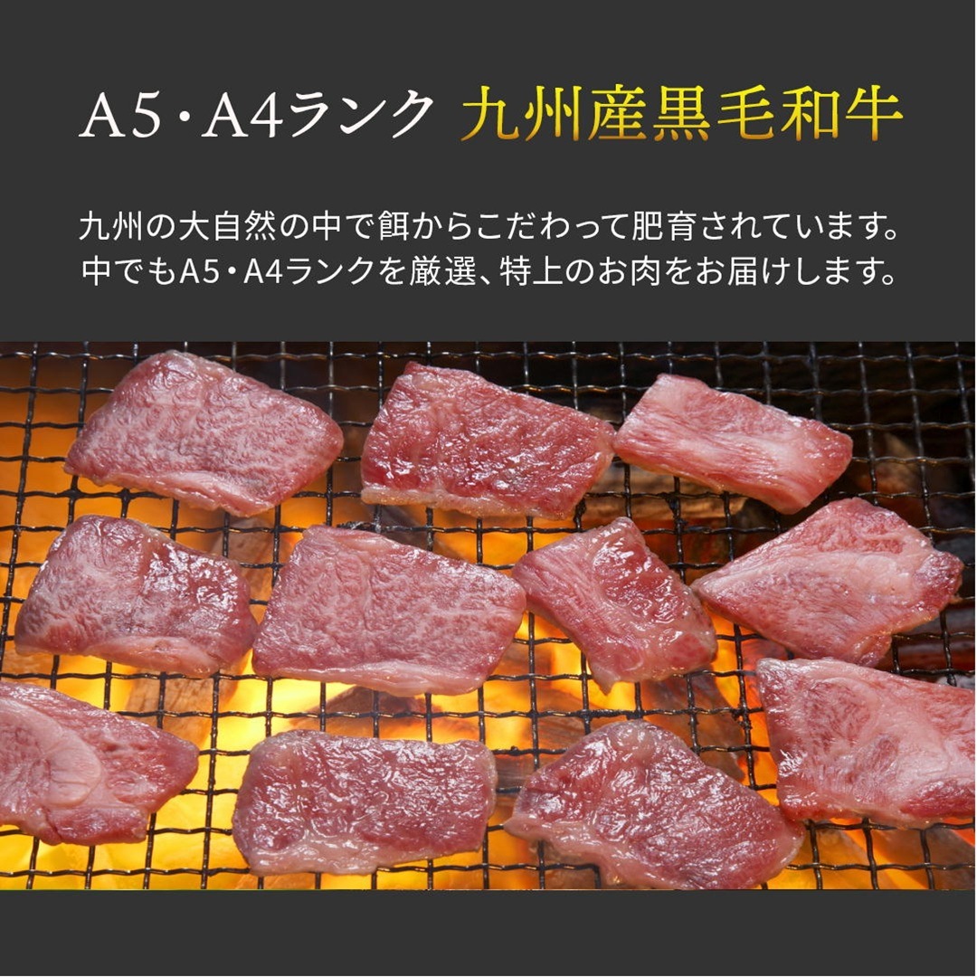 �彣�������µ����֥ȥ�A5A4���顡Ķ�����Х顦���������̡�����̳�ѵ�®�������ࡡ���������500��