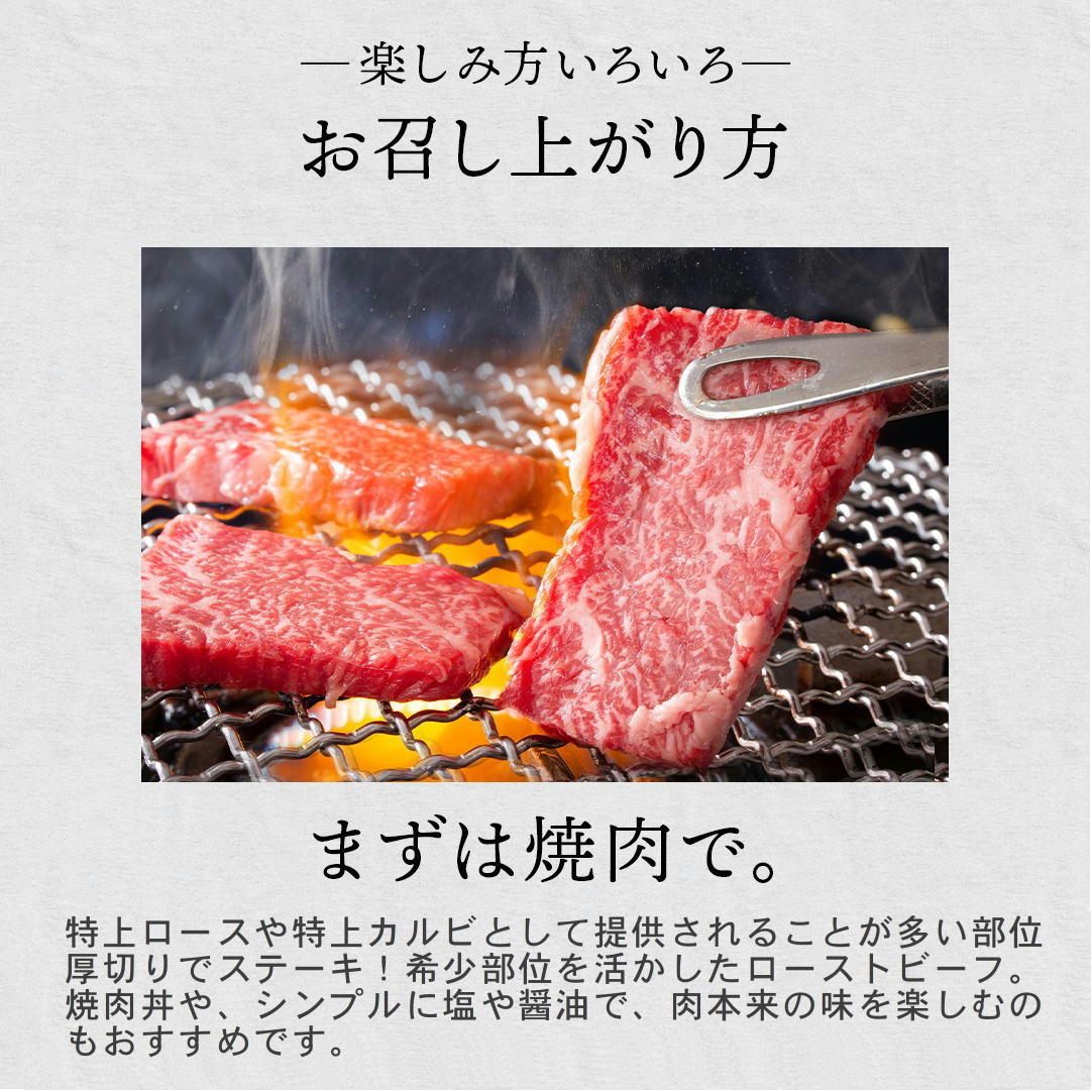 �彣�������µ����֥ȥ�A5A4���顡Ķ�����Х顦���������̡�����̳�ѵ�®�������ࡡ���������500��