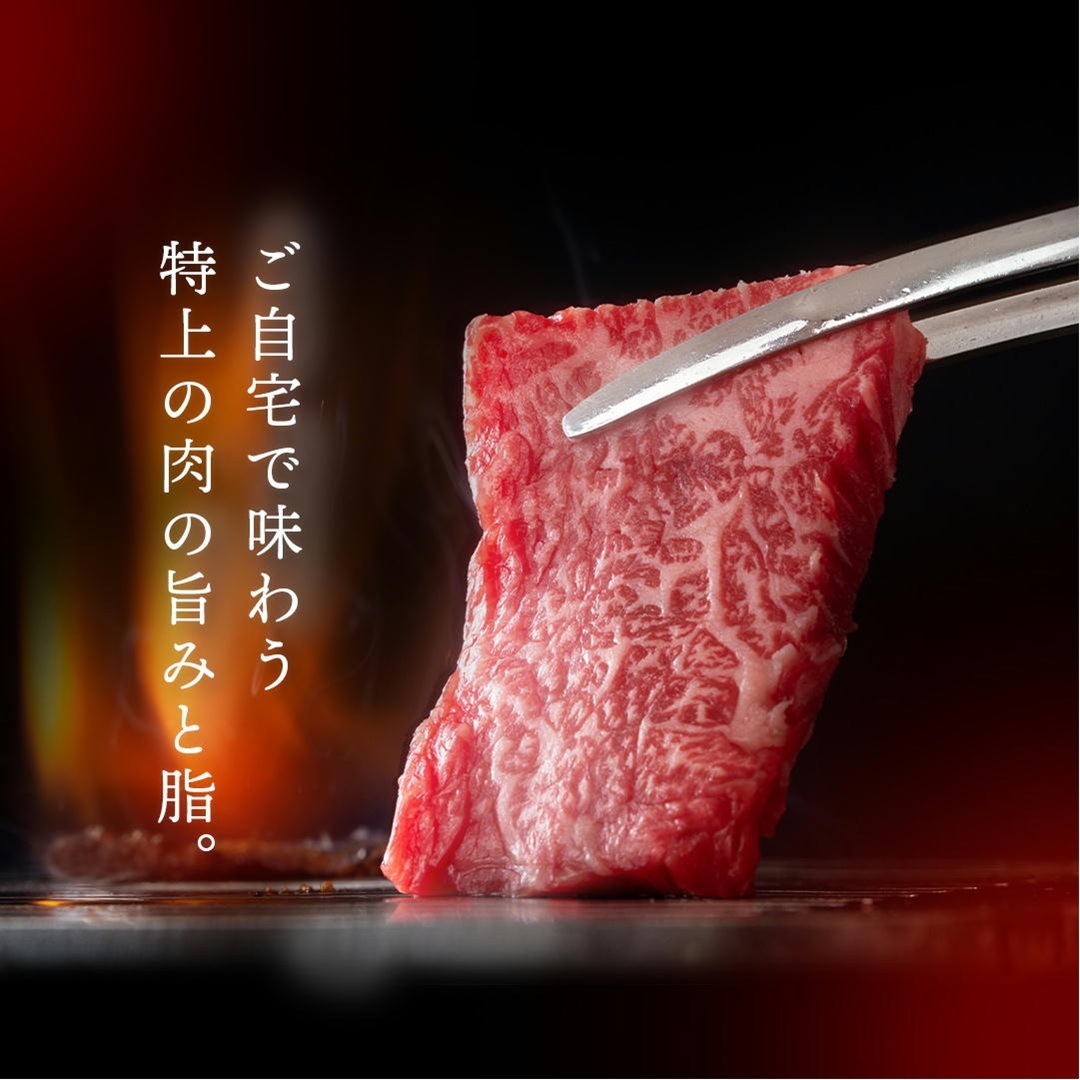 �彣�������µ����֥ȥ�A5A4���顡Ķ�����Х顦���������̡�����̳�ѵ�®�������ࡡ���������500��