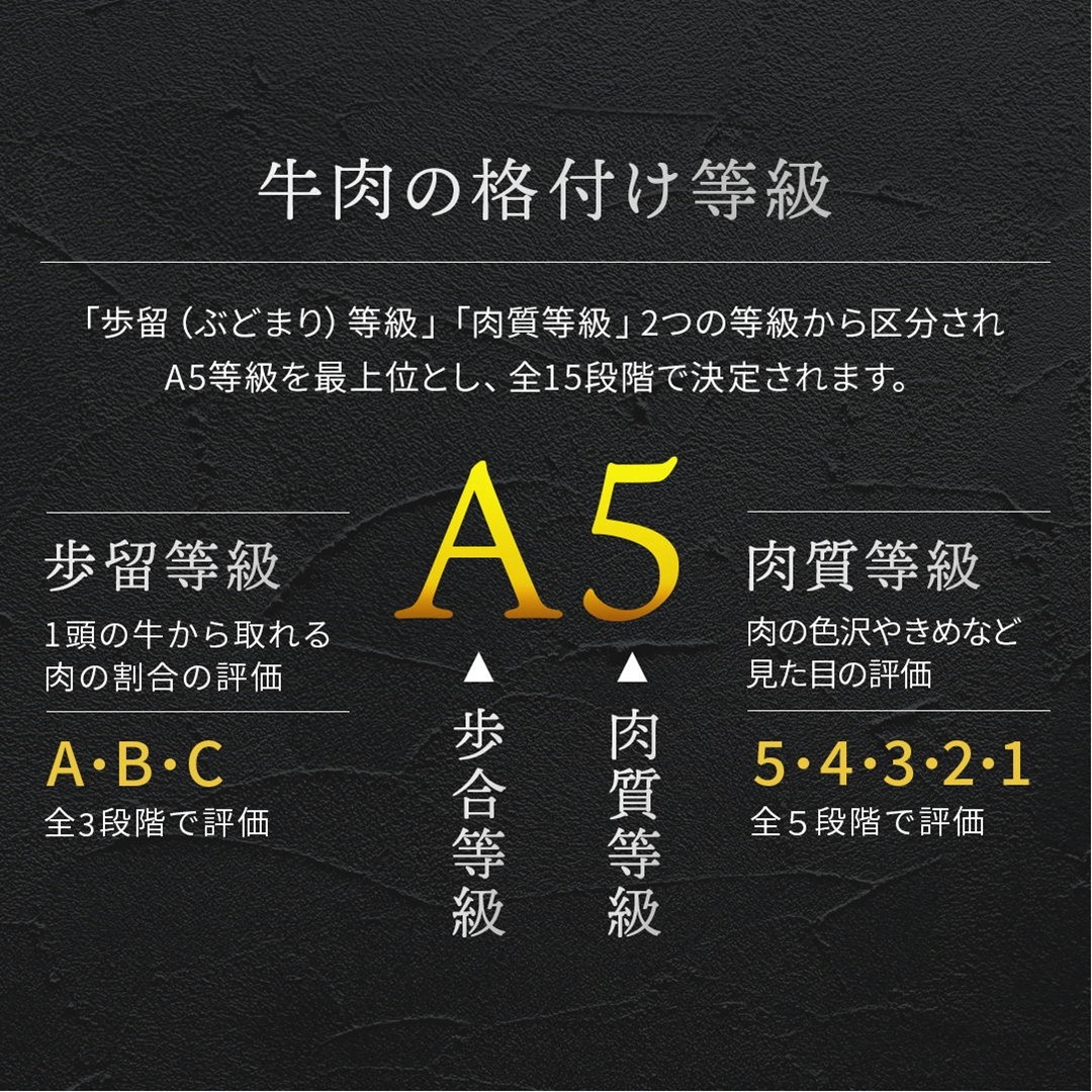 �彣�������µ����֥ȥ�A5A4���顡Ķ�����Х顦���������̡�����̳�ѵ�®�������ࡡ���������500��