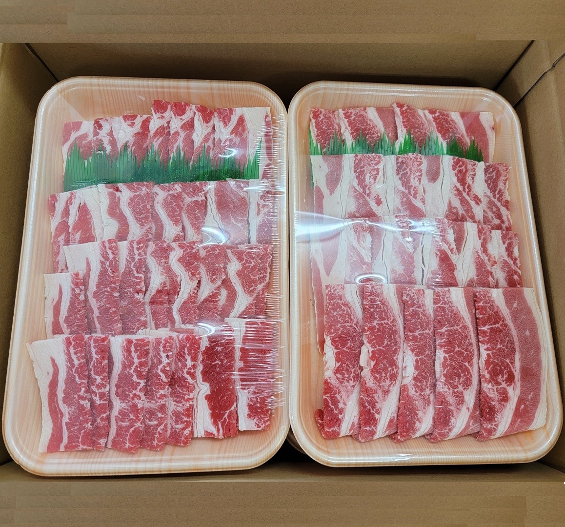 PREMIUM��ʪ����������ӥ��饤������.5�С������ѥ��åȡ�1P/800�ߡ�1������(10P)��