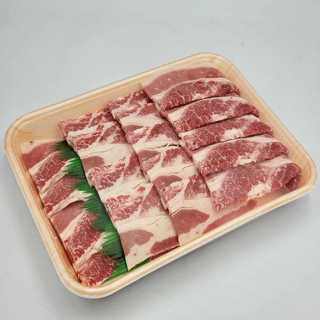 PREMIUM��ʪ����������ӥ��饤������.5�С������ѥ��åȡ�1P/800�ߡ�1������(10P)��