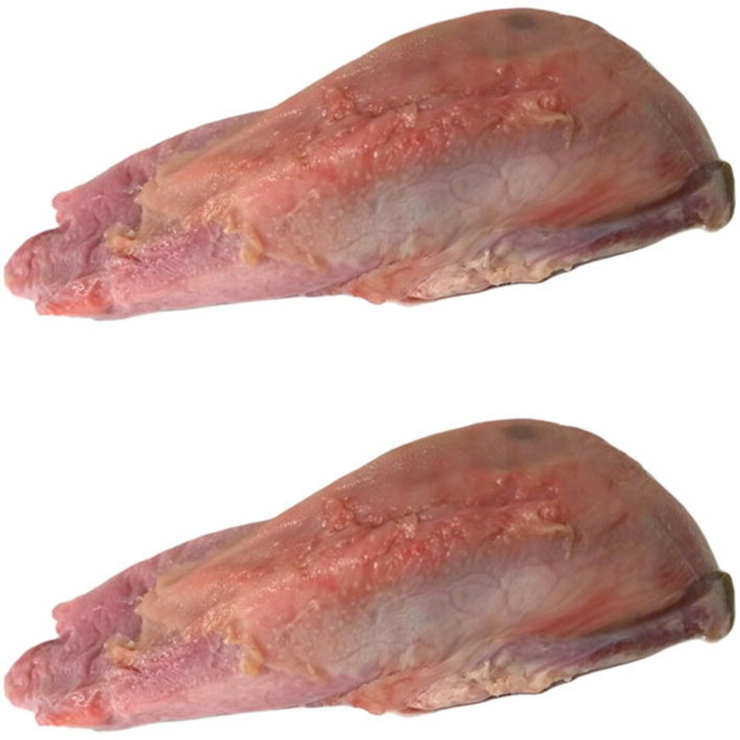 ٥ꥳڥ󡡹ʼ쥬ɥ졼ɡ쥤ڡ1ñ1450